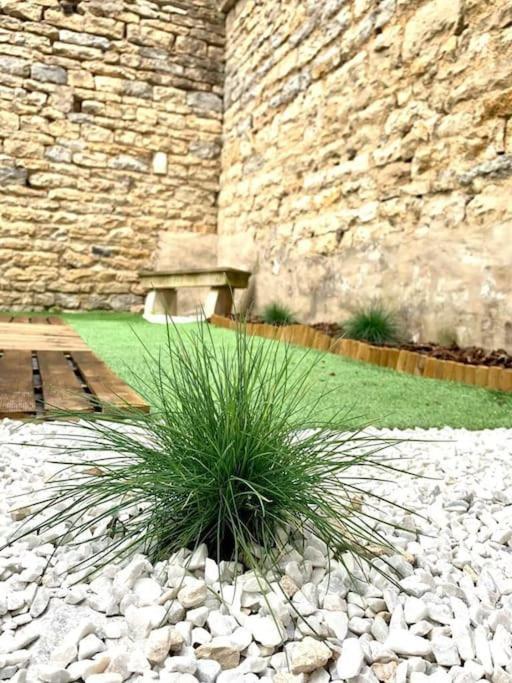 L'Eden, Apt 4 Prs Avec Jardin En Centre Ville Digione Esterno foto